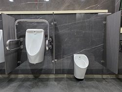 Toilet Facilities for Disabled and Elderly Passengers