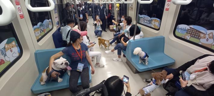 The Pet Charter Train Event 16