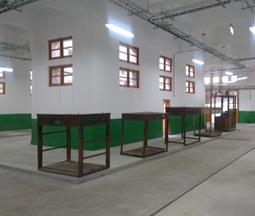 新富市場整修後 