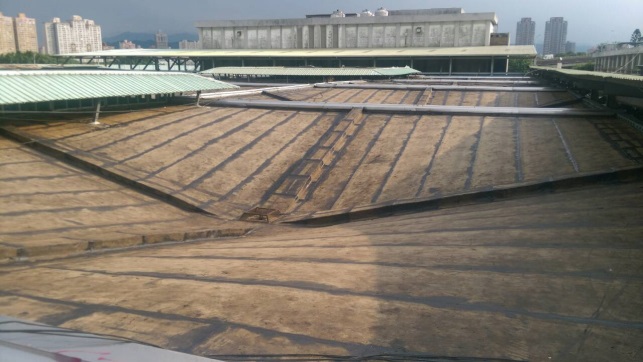 第一果菜市場屋頂防水完成