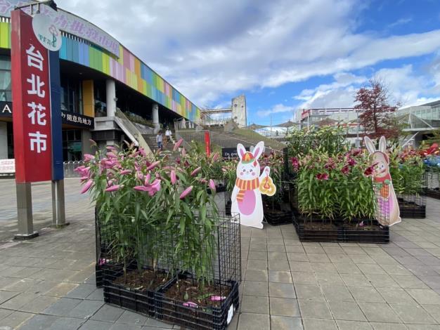 花市A館入口處運用數百支及多種百合創造出小型百合花園