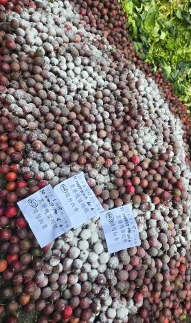 農藥檢驗不合格銷毀作業1(百香果)