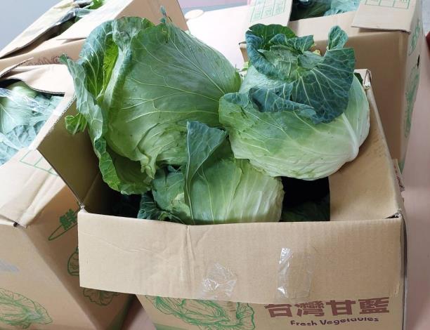高麗菜正值產季，營養價值高，建議民眾可多加選購