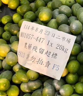 農藥檢驗不合格銷毀作業3(雜柑)