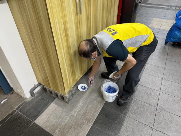 安東市場投鼠餌照片