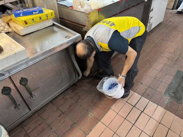 信義市場投鼠餌照片