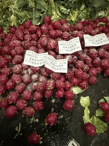 農藥檢驗不合格銷毀作業3(紅龍果)