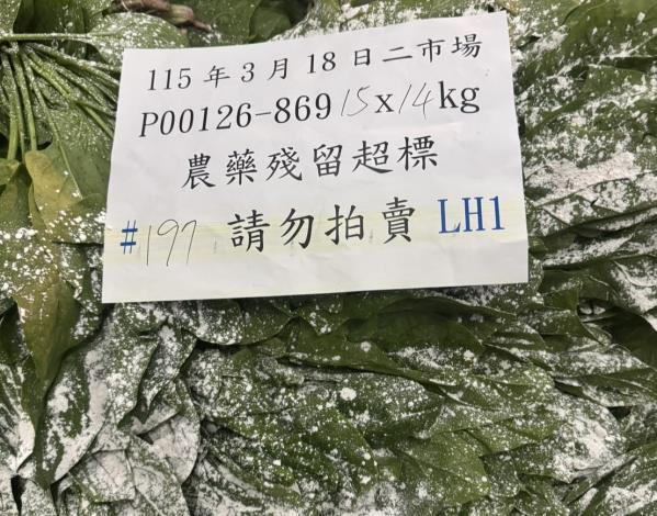 農藥檢驗不合格銷毀作業3(菠菜).JPG