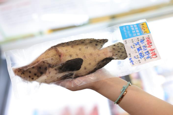 魚王中的魚王-老鼠斑.JPG