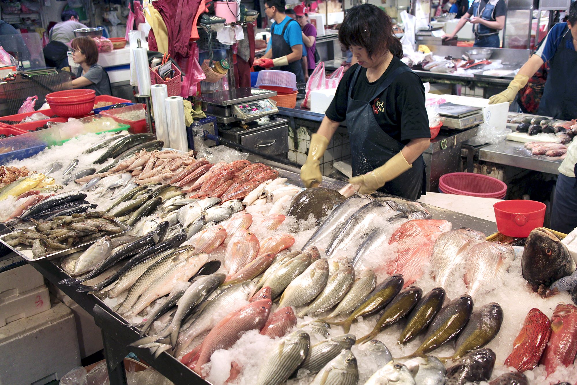 臺北市市場處機關入口網 臺北市魚類批發市場 萬大路魚市 臺北魚市理貨零批場 9排10號