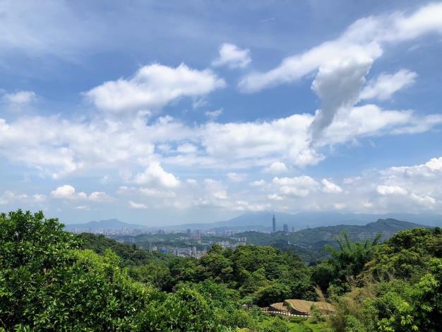 來貓空走走吧！喝好茶、看美景、享好康一次滿足