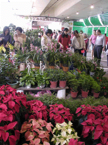 Jianguo Holiday Flower Market