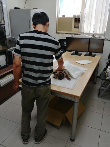 圖2、飼主至動保處見毛孩最後一面。