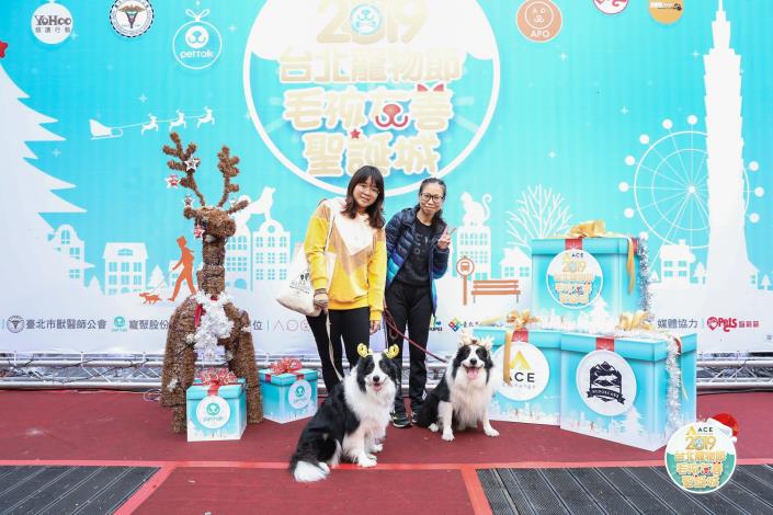 圖9. 飼主帶著毛孩一起開心過聖誕