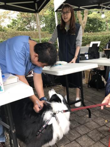 圖4. 臺北市動物保護處攤位免費為毛孩施打動物狂犬病疫苗及寵物登記