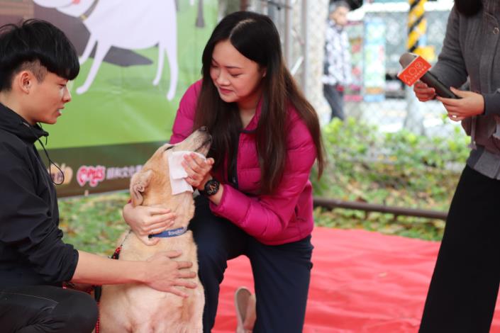 圖9-蔡曼琳獸醫師為民眾示範如何幫狗狗進行簡易清潔消毒.JPG
