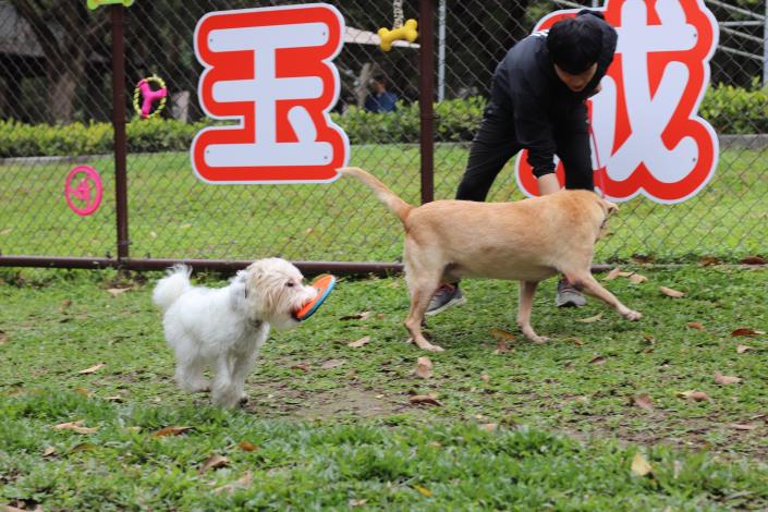 圖10-犬隻行為訓練師帶著狗狗依寶及MOMO示範犬隻園區內互動及遊戲建議.JPG