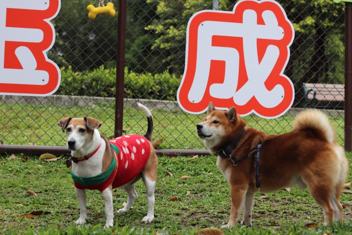 圖11-園區啟用後民眾帶著毛孩搶先體驗園區設施.JPG