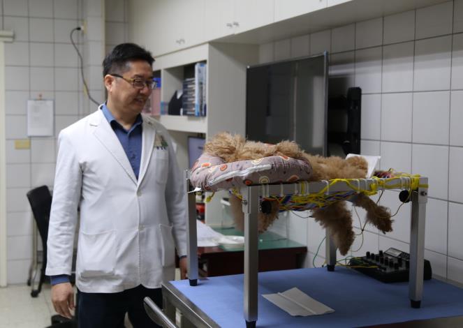 圖2._臺大為毛小孩進行復健治療