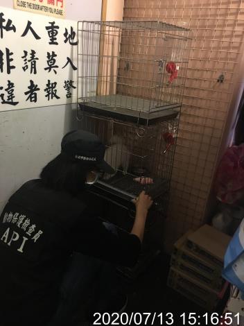 圖4、現場測量動物籠舍規格。