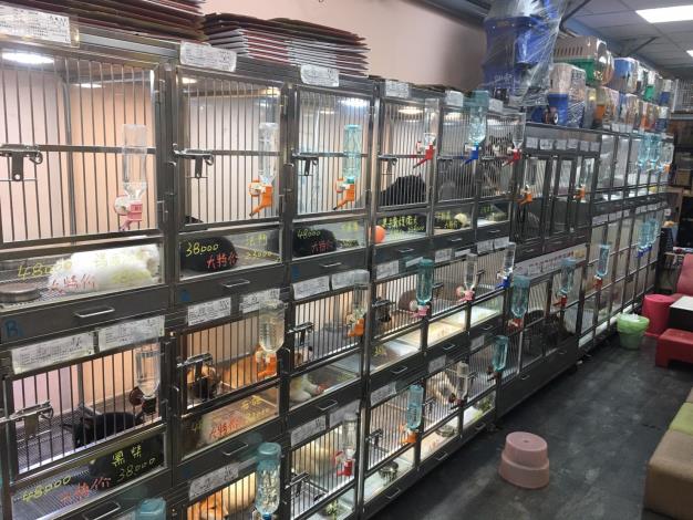 圖1、大安區遭開罰違法業者店內動物展售情形。
