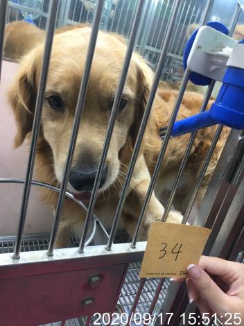 圖3、稽查現場將動物造冊清點。