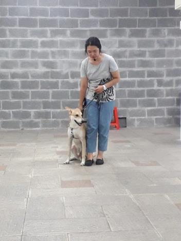 圖4.貓犬學校動態課程讓飼主帶毛孩現場互動