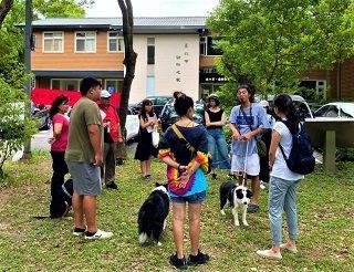 圖3. 臺北市陪伴犬協會提供小班制課程,改善飼主與寵物互動關係。
