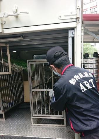 圖2._北市動保處立即將受傷犬隻送醫治療。