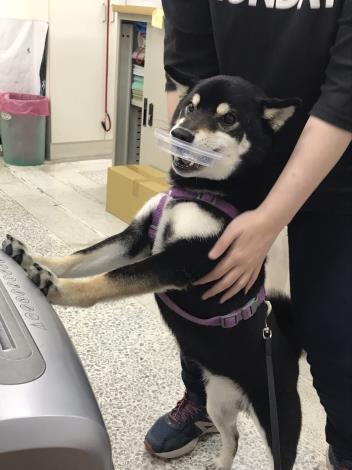 圖8.舉”口”做環保