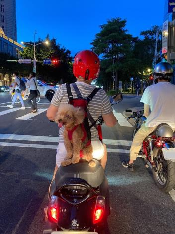 圖2.市面上已有多款為機車族設計之寵物揹帶。