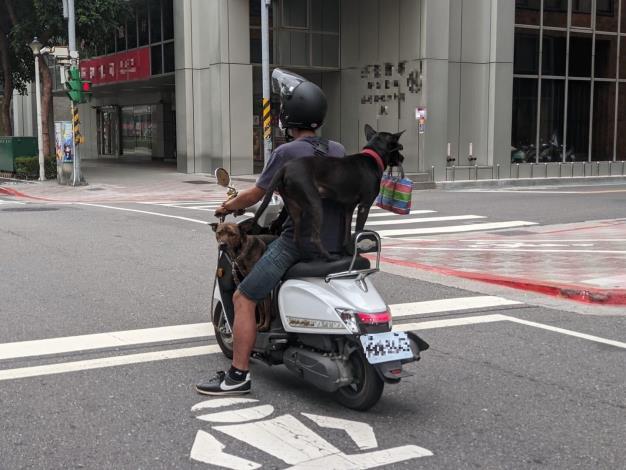 圖1.熱心民眾拍下危險載狗的照片。