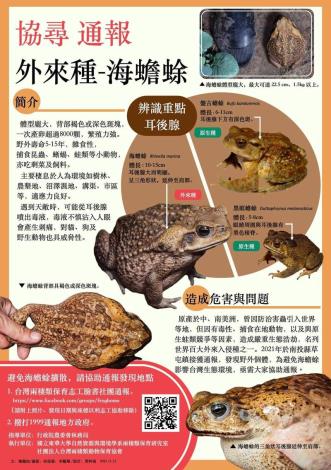 圖一海蟾蜍宣導摺頁(林務局提供)