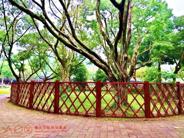 圖8. 青峰狗活動區採大小犬不分區規劃，讓毛孩悠遊不設限.JPG