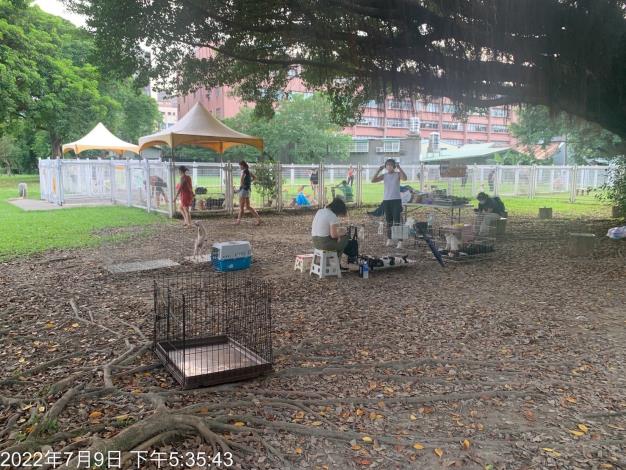 圖1. 李姓愛媽長期於本市華山狗公園旁空地送養犬貓