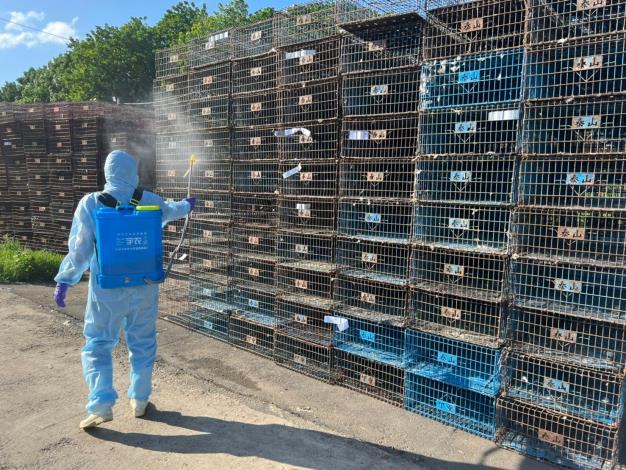 圖1.北市動保處協助進行五股集籠場環境消毒作業以防止禽流感。