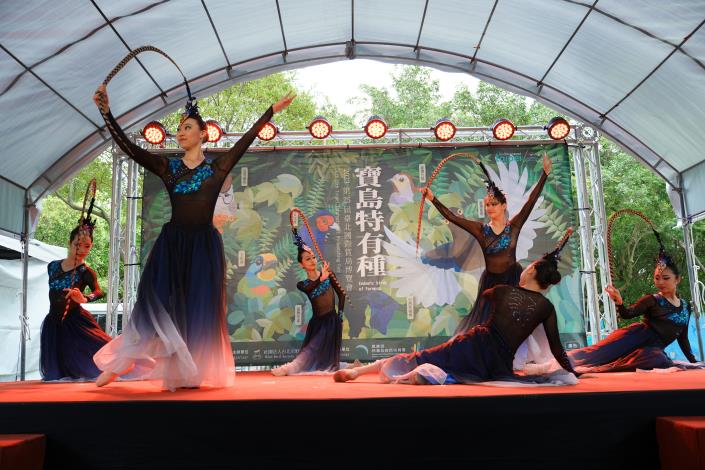 圖3：薪傳舞蹈團透過舞蹈形式展現臺灣美麗的特有種鳥類「臺灣藍鵲」。