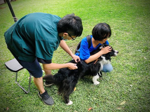圖1.動保處舉辦狂犬病免費預防注射活動