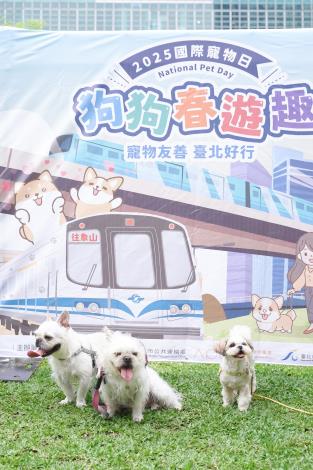 圖3、「狗狗春遊趣」闖關活動-毛孩於春遊列車拍照看板還可參加抽獎