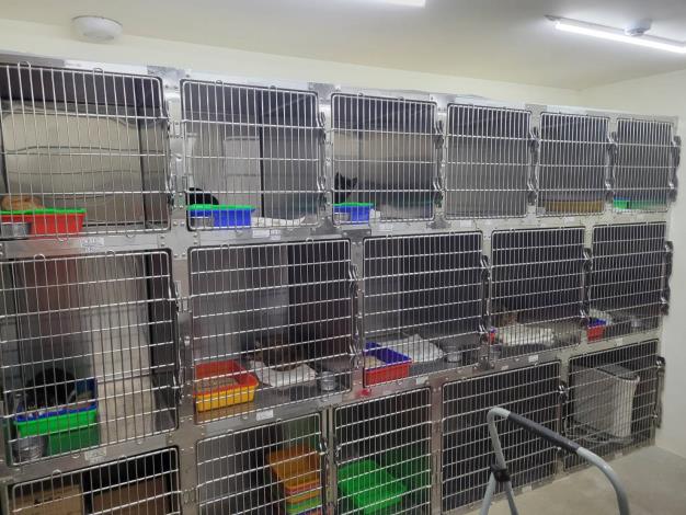 圖3、臺大附設動物醫院捐贈不鏽鋼動物病床改善動物收容空間