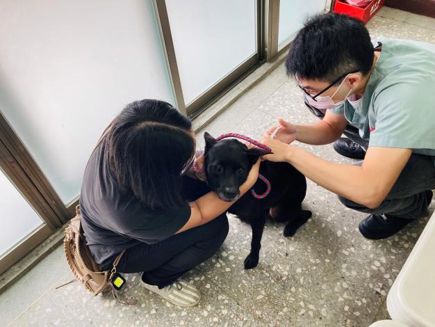 圖2、幫毛孩做好寵物登記是飼主應盡的責任