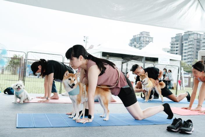 圖4、民眾與狗狗一同體驗人寵瑜珈，合作默契無間
