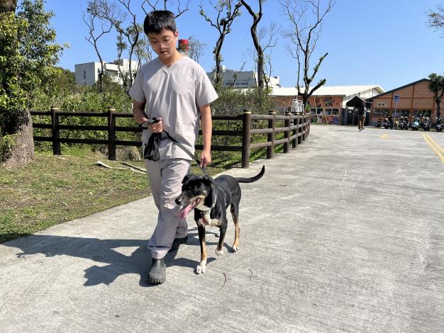 圖1、訓犬師示範園區遛狗專注力要在犬隻身上。