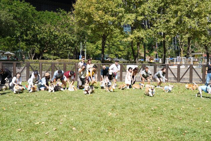 圖4、超萌柯基在信義廣場狗活動區參加PK競賽