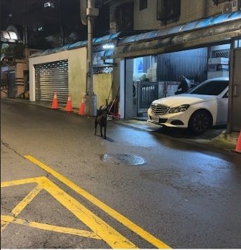 圖片來源：臺北市政府