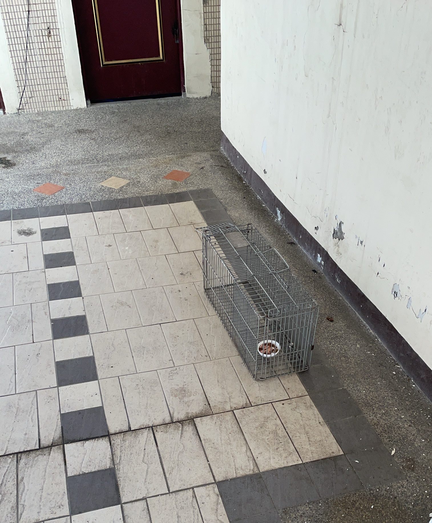 捕貓籠。（圖／北市動保處提供）