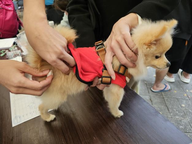圖6、動保處提供毛孩免費狂犬病預防注射及寵物登記服務