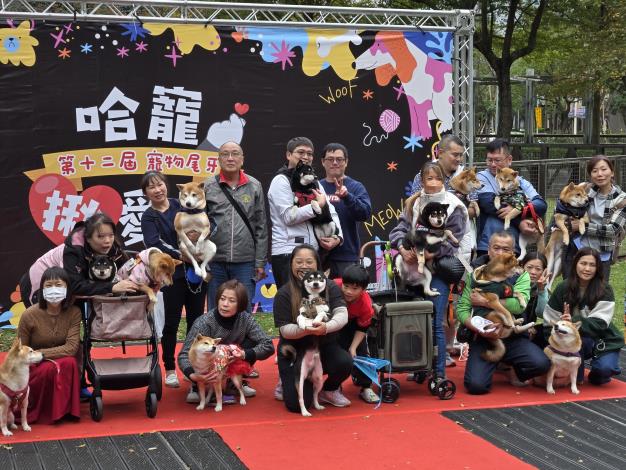 圖4、許多柴犬在信義廣場狗活動區參加揪愛力紅毯走秀大賽
