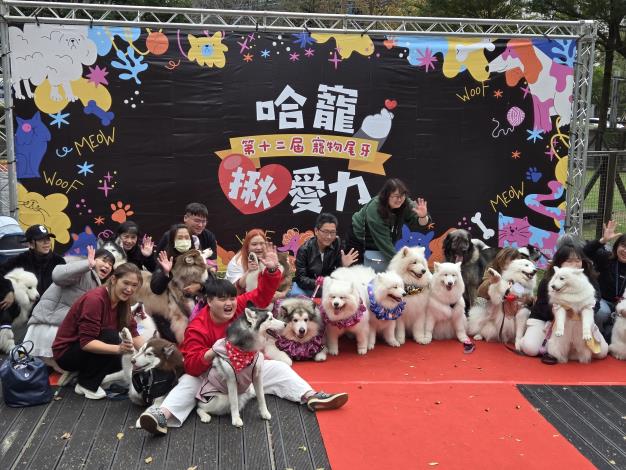 圖3、許多雪橇犬在信義廣場狗活動區參加揪愛力紅毯走秀大賽