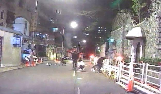 圖1.飼主出面阻止犬隻持續互咬